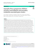 Aspergillus flavus pangenome (AflaPan) uncovers novel aflatoxin and secondary metabolite associated gene clusters