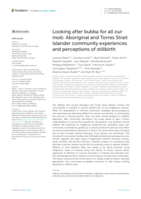Looking after bubba for all our mob: Aboriginal and Torres Strait Islander community experiences and perceptions of stillbirth