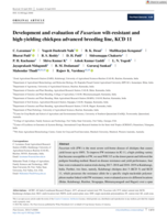 Development and evaluation of Fusarium wilt-resistant and high-yielding chickpea advanced breeding line, KCD 11