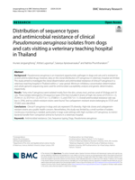 Distribution of sequence types and antimicrobial resistance of clinical Pseudomonas aeruginosa isolates from dogs and cats visiting a veterinary teaching hospital in Thailand