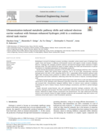 Ultrasonication-induced metabolic pathway shifts and reduced electron carrier washout with biomass enhanced hydrogen yield in a continuous stirred tank reactor