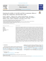 Examining the stability of viral RNA and DNA in wastewater: Effects of storage time, temperature, and freeze-thaw cycles