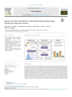 Selective microbial attachment to LDPE plastic beads during passage through the wastewater network