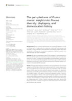 The pan-plastome of Prunus mume: insights into Prunus diversity, phylogeny, and domestication history
