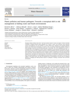 Plastic pollution and human pathogens: towards a conceptual shift in risk management at bathing water and beach environments