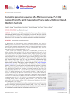 Complete genome sequence of a Marinococcus sp. PL1-022 isolated from the pink hypersaline Pearse Lakes, Rottnest Island, Western Australia