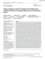 Unique regulatory network of dragon fruit simultaneously mitigates the effect of vanadium pollutant and environmental factors