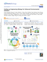 Scaling-up engineering biology for enhanced environmental solutions