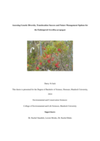 Assessing Genetic Diversity, Translocation Success and Future Management Options for the Endangered Grevillea acropogon