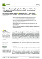 Quinoa: A Promising Crop for Resolving the Bottleneck of Cultivation in Soils Affected by Multiple Environmental Abiotic Stresses