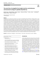 The secret lives of wedgefish: first insights into fine-scale behaviour and movement ecology of a globally imperilled ray