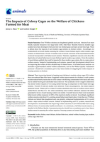 The Impacts of Colony Cages on the Welfare of Chickens Farmed for Meat