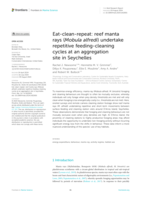 Eat-clean-repeat: reef manta rays (Mobula alfredi) undertake repetitive feeding-cleaning cycles at an aggregation site in Seychelles