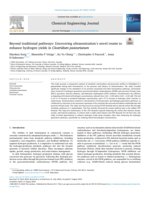 Beyond traditional pathways: Uncovering ultrasonication’s novel routes to enhance hydrogen yields in Clostridium pasteurianum