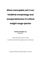 When marsupials can’t run: hindlimb morphology and escape behaviour in critical weight range species