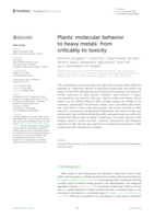 Plants’ molecular behavior to heavy metals: from criticality to toxicity