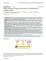 Plastic induced urinary tract disease and dysfunction: a scoping review