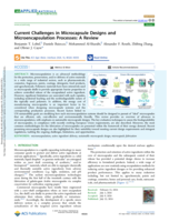 Current Challenges in Microcapsule Designs and Microencapsulation Processes: A Review