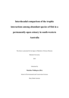 Interdecadal comparison of the trophic interactions among abundant species of fish in a permanently-open estuary in south-western Australia