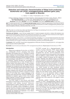 Detection and molecular characterization of Shiga toxin producing Escherichia coli (STEC) autoagglutinating adhesion gene (saa) from piglets in Mizoram