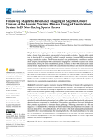 Follow-Up Magnetic Resonance Imaging of Sagittal Groove Disease of the Equine Proximal Phalanx Using a Classification System in 29 Non-Racing Sports Horses