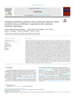 Phosphorus fertilization promotes carbon cycling and negatively affects microbial carbon use efficiency in agricultural soils: Laboratory incubation experiments