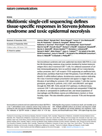 Multiomic single-cell sequencing defines tissue-specific responses in Stevens-Johnson syndrome and toxic epidermal necrolysis