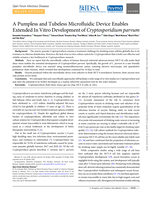 A pumpless and tubeless microfluidic device enables extended in vitro development of Cryptosporidium parvum