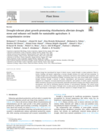 Drought-tolerant plant growth-promoting rhizobacteria alleviate drought stress and enhance soil health for sustainable agriculture: A comprehensive review