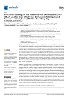 Tiletamine/Zolazepam and Ketamine with Dexmedetomidine (TKD) Cocktail Is as Effective as Tiletamine/Zolazepam and Ketamine with Xylazine (TKX) in Providing Pig General Anesthesia