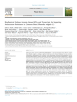 Biochemical Defense Arsenal, Genes/QTLs and Transcripts for Imparting Anthracnose Resistance in Common bean (Phaseolus vulgaris L.)