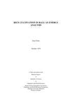 Rice cultivation in Bali: An Energy Analysis