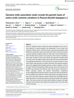 Genome-wide association study reveals the genetic basis of amino acids contents variations in Peanut (Arachis hypogaea L.)