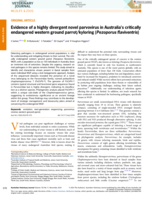 Evidence of a highly divergent novel parvovirus in Australia's critically endangered western ground parrot/kyloring ( Pezoporus flaviventris )