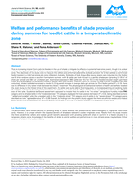 Welfare and performance benefits of shade provision during summer for feedlot cattle in a temperate climatic zone