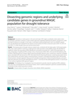 Dissecting genomic regions and underlying candidate genes in groundnut MAGIC population for drought tolerance