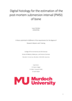 Digital histology for the estimation of the post-mortem submersion interval (PMSI) of bone