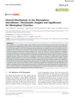 Diurnal Rhythmicity in the Rhizosphere Microbiome—Mechanistic Insights and Significance for Rhizosphere Function