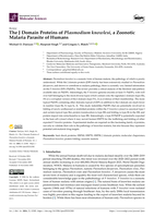 The J Domain Proteins of Plasmodium knowlesi, a Zoonotic Malaria Parasite of Humans