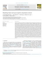 Morphology-based weed type recognition using Siamese network