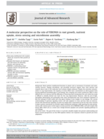 A molecular perspective on the role of FERONIA in root growth, nutrient uptake, stress sensing and microbiome assembly