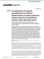 Co-application of organic amendments and natural biostimulants on plants enhances wheat production and defense system under salt-alkali stress