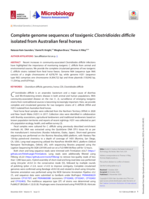 Complete genome sequences of toxigenic Clostridioides difficile isolated from Australian feral horses