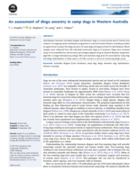 An assessment of dingo ancestry in camp dogs in Western Australia