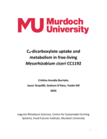 C4-dicarboxylate uptake and metabolism in free-living Mesorhizobium ciceri CC1192
