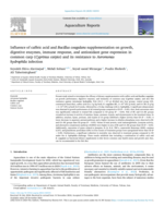 Influence of caffeic acid and Bacillus coagulans supplementation on growth, digestive enzymes, immune response, and antioxidant gene expression in common carp (Cyprinus carpio) and its resistance to Aeromonas hydrophila infection