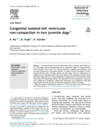 Congenital isolated left ventricular noncompaction in two juvenile dogs