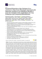 Functional Dissection of the Chickpea (Cicer arietinum L.) Stay-Green Phenotype Associated with Molecular Variation at an Ortholog of Mendel's I Gene for Cotyledon Color: Implications for Crop Production and Carotenoid Biofortification
