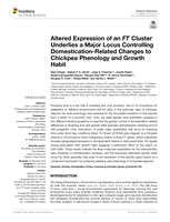 Altered Expression of an FT Cluster Underlies a Major Locus Controlling Domestication-Related Changes to Chickpea Phenology and Growth Habit