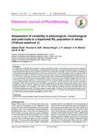 Assessment of variability in phenological, morphological and yield traits in a biparental RIL population in wheat (Triticum aestivum L)